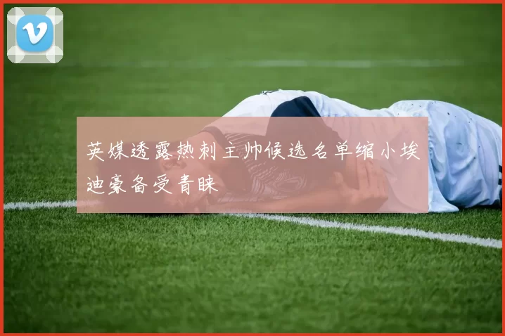 英媒透露热刺主帅候选名单缩小埃迪豪备受青睐
